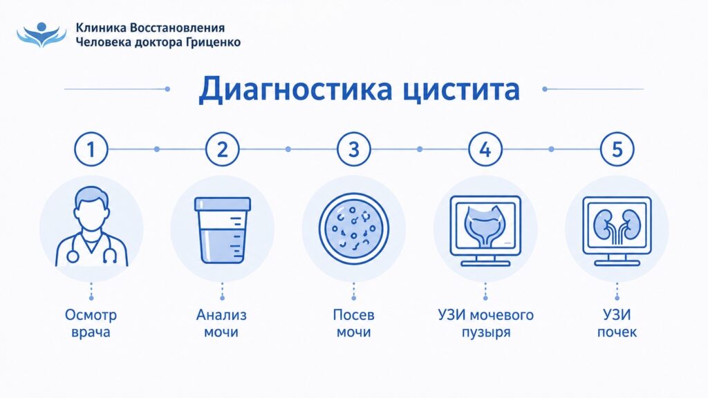 Диагностика цистита